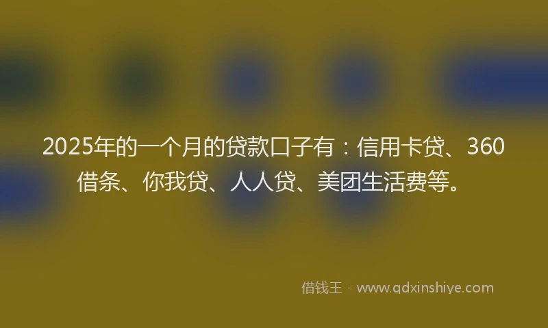 2025年的一个月的贷款口子有：信用卡贷、360借条、你我贷、人人贷、美团生活费等。