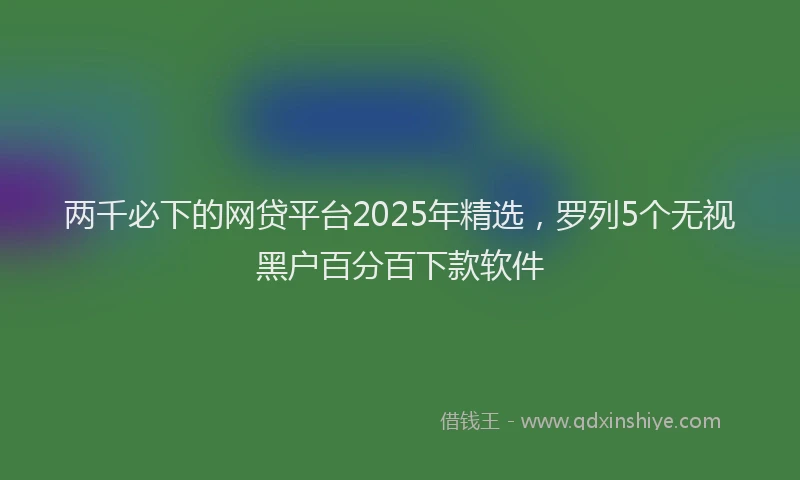 两千必下的网贷平台2025年精选，罗列5个无视黑户百分百下款软件
