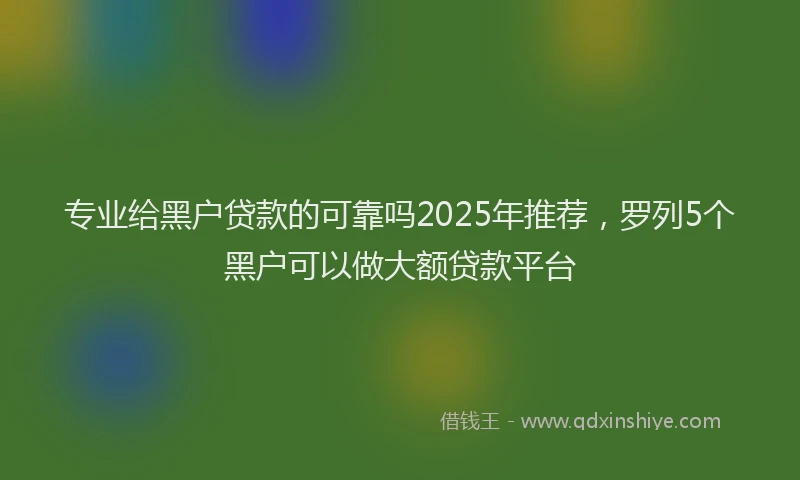 专业给黑户贷款的可靠吗2025年推荐，罗列5个黑户可以做大额贷款平台