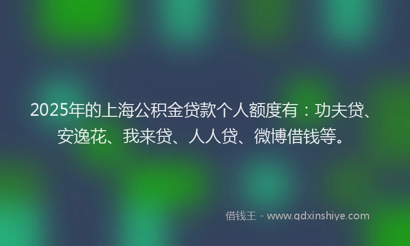 2025年的上海公积金贷款个人额度有：功夫贷、安逸花、我来贷、人人贷、微博借钱等。