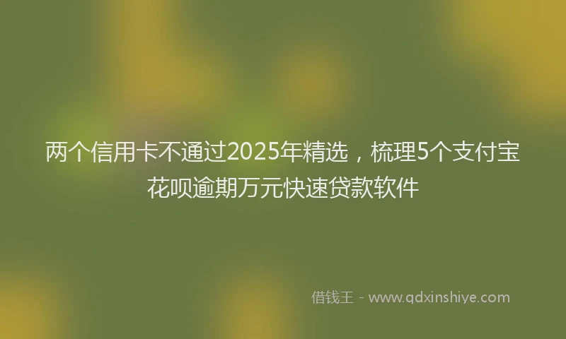 两个信用卡不通过2025年精选，梳理5个支付宝花呗逾期万元快速贷款软件