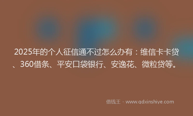 2025年的个人征信通不过怎么办有：维信卡卡贷、360借条、平安口袋银行、安逸花、微粒贷等。
