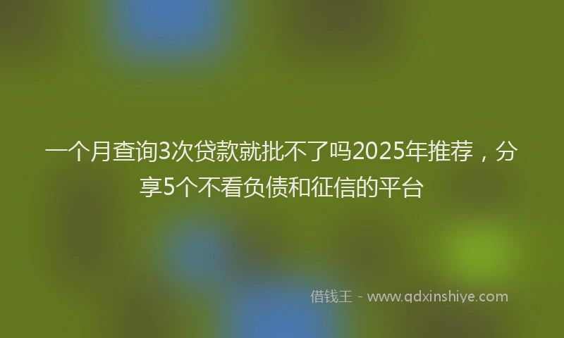 一个月查询3次贷款就批不了吗2025年推荐，分享5个不看负债和征信的平台