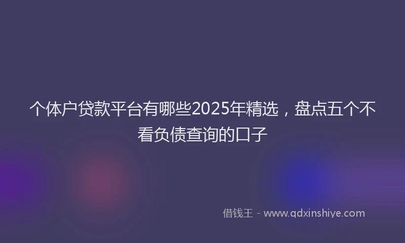 个体户贷款平台有哪些2025年精选，盘点五个不看负债查询的口子