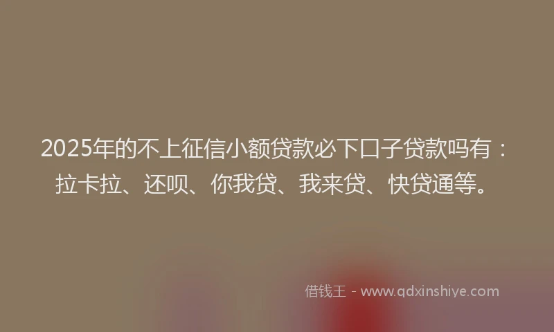 2025年的不上征信小额贷款必下口子贷款吗有：拉卡拉、还呗、你我贷、我来贷、快贷通等。