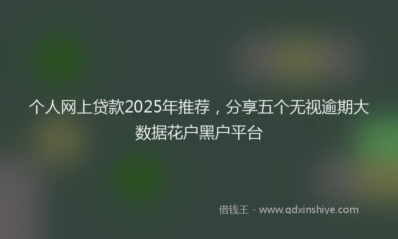 个人网上贷款2025年推荐，分享五个无视逾期大数据花户黑户平台