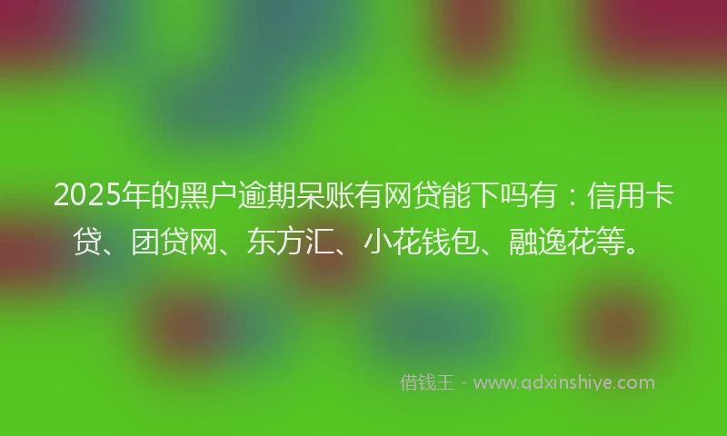 2025年的黑户逾期呆账有网贷能下吗有：信用卡贷、团贷网、东方汇、小花钱包、融逸花等。
