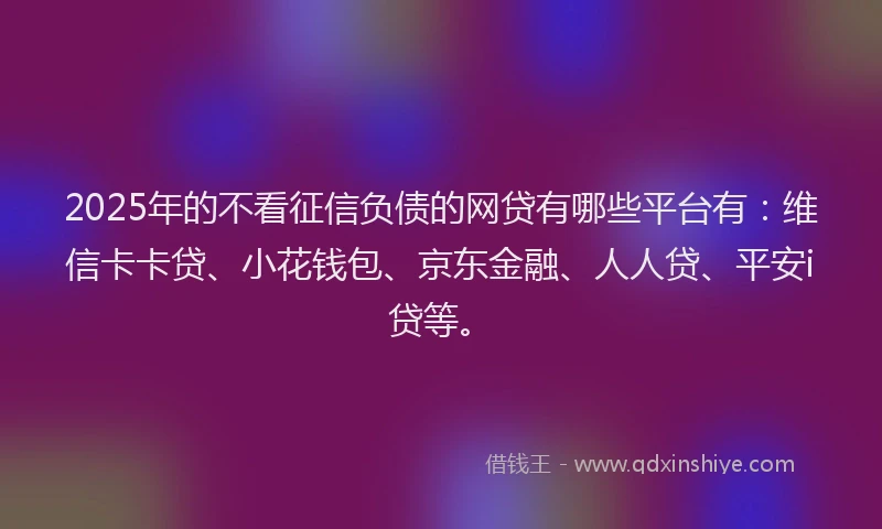 2025年的不看征信负债的网贷有哪些平台有：维信卡卡贷、小花钱包、京东金融、人人贷、平安i贷等。