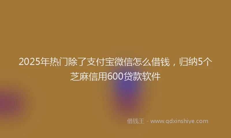 2025年热门除了支付宝微信怎么借钱，归纳5个芝麻信用600贷款软件
