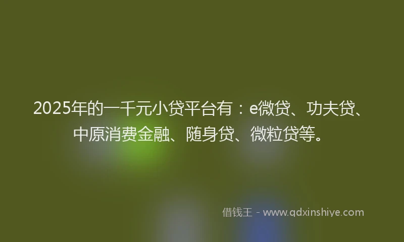 2025年的一千元小贷平台有：e微贷、功夫贷、中原消费金融、随身贷、微粒贷等。