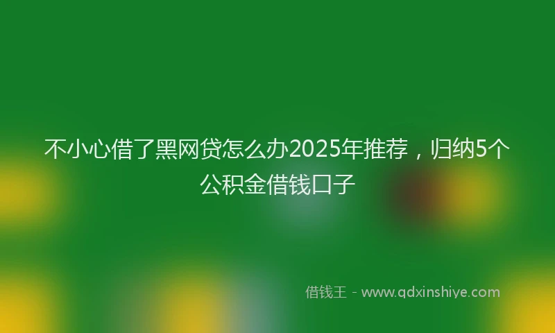 不小心借了黑网贷怎么办2025年推荐，归纳5个公积金借钱口子
