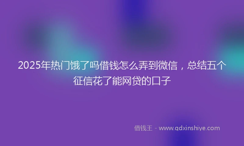 2025年热门饿了吗借钱怎么弄到微信，总结五个征信花了能网贷的口子