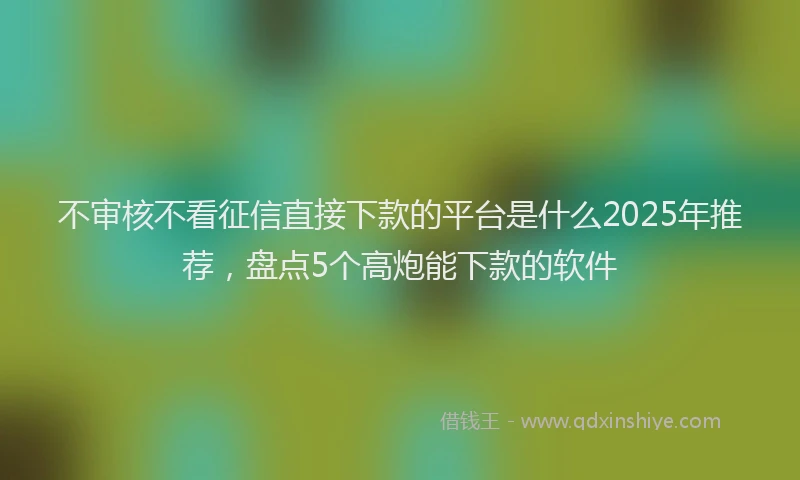 不审核不看征信直接下款的平台是什么2025年推荐，盘点5个高炮能下款的软件