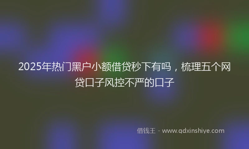 2025年热门黑户小额借贷秒下有吗，梳理五个网贷口子风控不严的口子