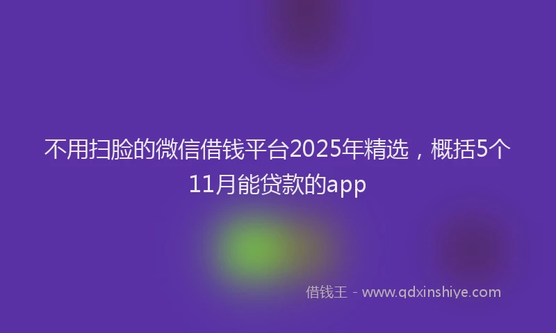 不用扫脸的微信借钱平台2025年精选，概括5个11月能贷款的app
