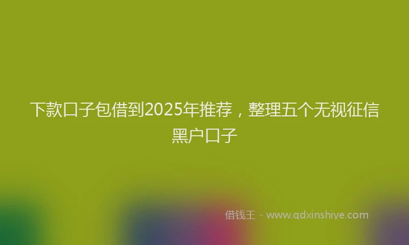 下款口子包借到2025年推荐，整理五个无视征信黑户口子
