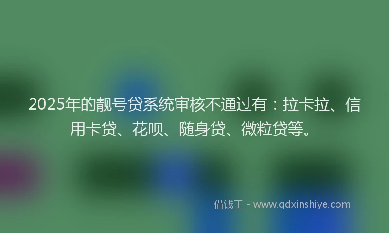2025年的靓号贷系统审核不通过有：拉卡拉、信用卡贷、花呗、随身贷、微粒贷等。