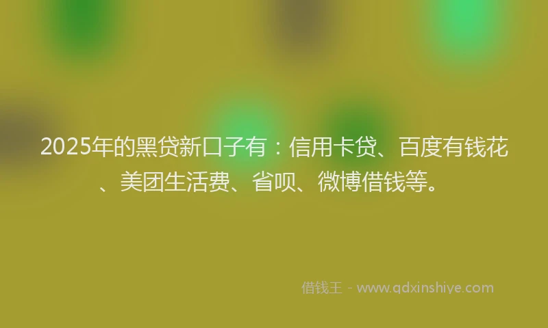 2025年的黑贷新口子有：信用卡贷、百度有钱花、美团生活费、省呗、微博借钱等。