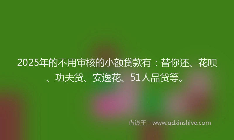 2025年的不用审核的小额贷款有：替你还、花呗、功夫贷、安逸花、51人品贷等。
