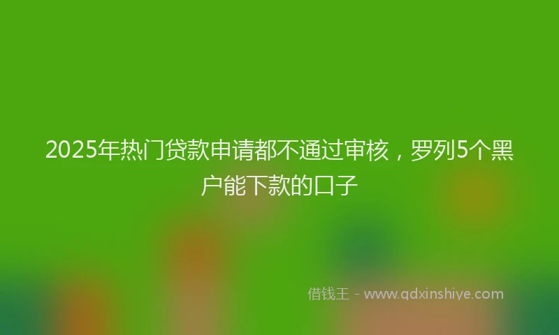 2025年热门贷款申请都不通过审核，罗列5个黑户能下款的口子