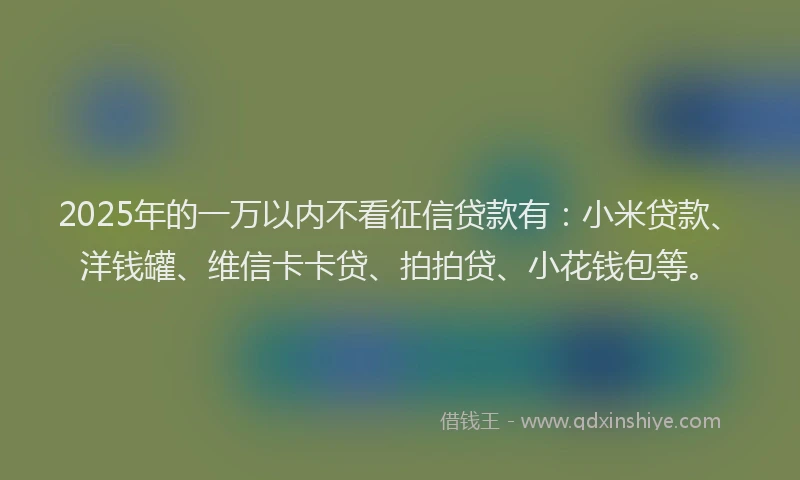 2025年的一万以内不看征信贷款有：小米贷款、洋钱罐、维信卡卡贷、拍拍贷、小花钱包等。