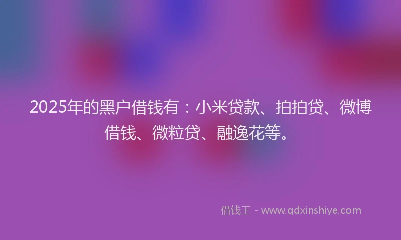 2025年的黑户借钱有：小米贷款、拍拍贷、微博借钱、微粒贷、融逸花等。