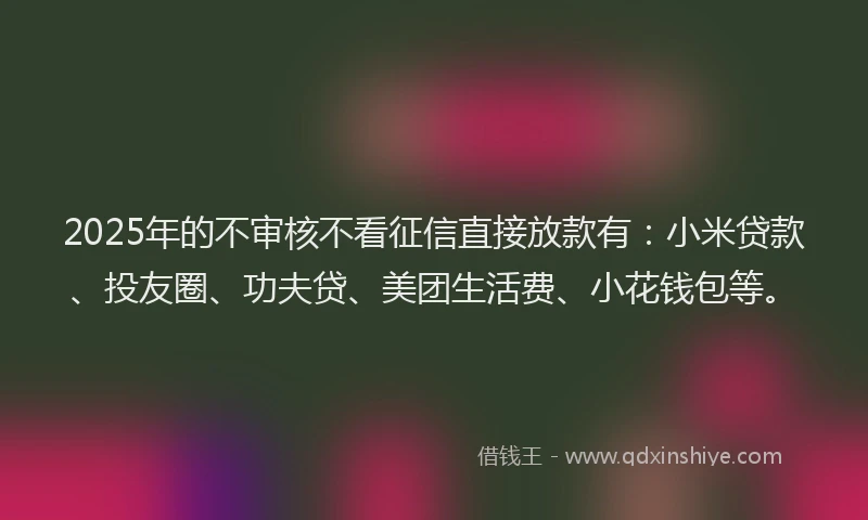 2025年的不审核不看征信直接放款有：小米贷款、投友圈、功夫贷、美团生活费、小花钱包等。