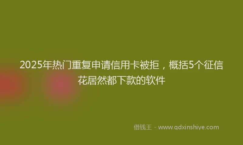 2025年热门重复申请信用卡被拒，概括5个征信花居然都下款的软件