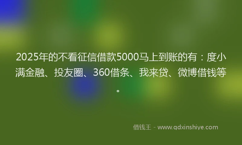 2025年的不看征信借款5000马上到账的有：度小满金融、投友圈、360借条、我来贷、微博借钱等。