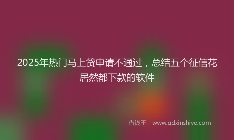2025年热门马上贷申请不通过，总结五个征信花居然都下款的软件