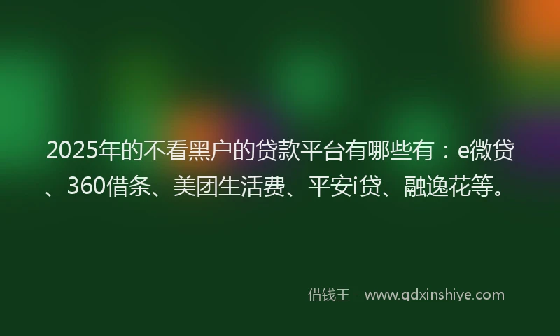2025年的不看黑户的贷款平台有哪些有：e微贷、360借条、美团生活费、平安i贷、融逸花等。