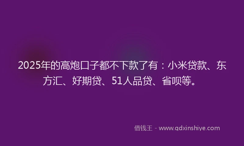 2025年的高炮口子都不下款了有：小米贷款、东方汇、好期贷、51人品贷、省呗等。
