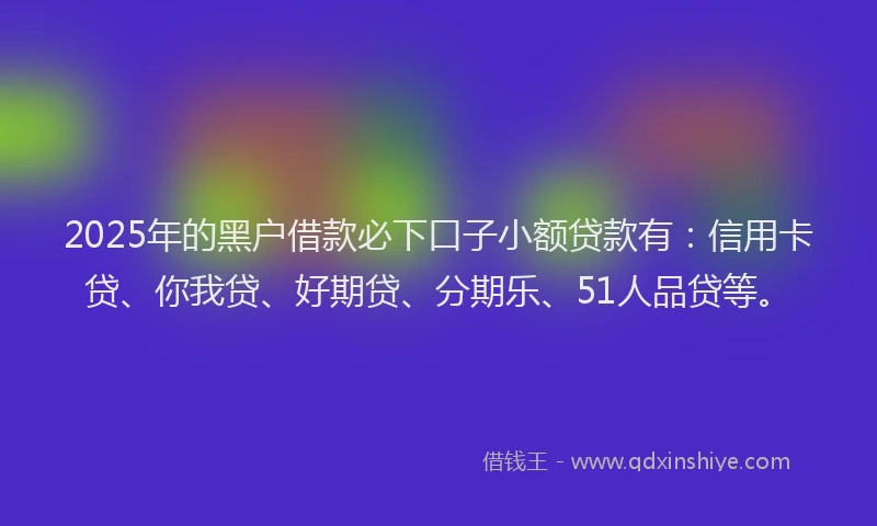 2025年的黑户借款必下口子小额贷款有：信用卡贷、你我贷、好期贷、分期乐、51人品贷等。