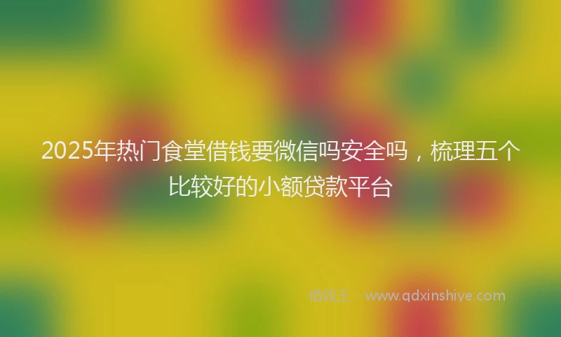 2025年热门食堂借钱要微信吗安全吗，梳理五个比较好的小额贷款平台