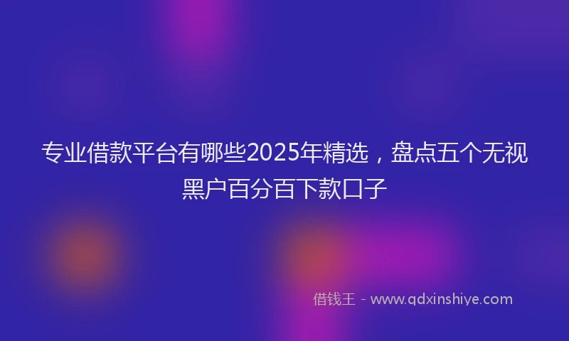 专业借款平台有哪些2025年精选，盘点五个无视黑户百分百下款口子