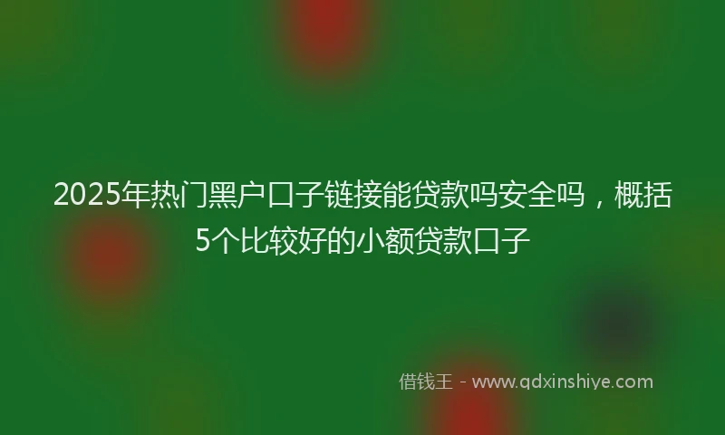 2025年热门黑户口子链接能贷款吗安全吗，概括5个比较好的小额贷款口子