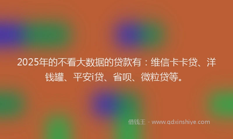 2025年的不看大数据的贷款有：维信卡卡贷、洋钱罐、平安i贷、省呗、微粒贷等。