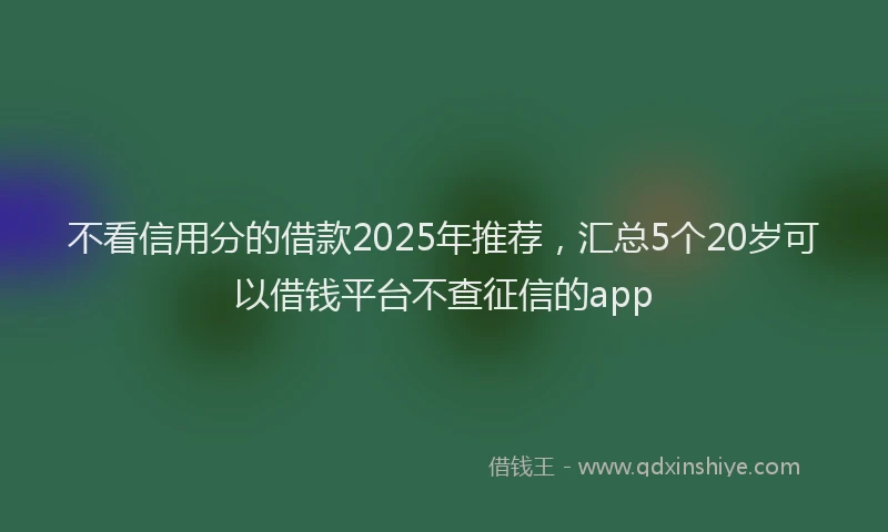 不看信用分的借款2025年推荐，汇总5个20岁可以借钱平台不查征信的app