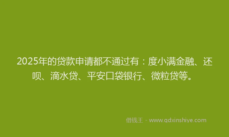 2025年的贷款申请都不通过有：度小满金融、还呗、滴水贷、平安口袋银行、微粒贷等。