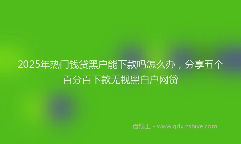2025年热门钱贷黑户能下款吗怎么办，分享五个百分百下款无视黑白户网贷
