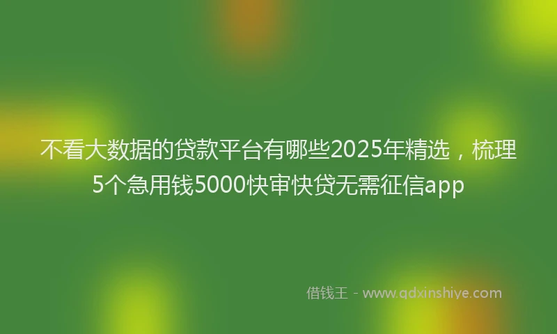 不看大数据的贷款平台有哪些2025年精选，梳理5个急用钱5000快审快贷无需征信app