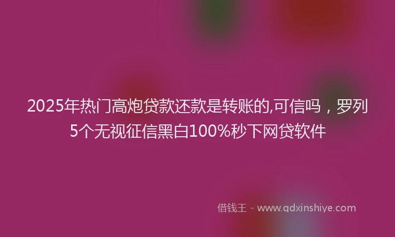 2025年热门高炮贷款还款是转账的,可信吗，罗列5个无视征信黑白100%秒下网贷软件