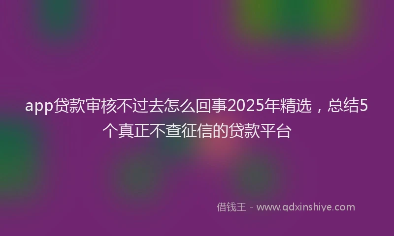 app贷款审核不过去怎么回事2025年精选，总结5个真正不查征信的贷款平台