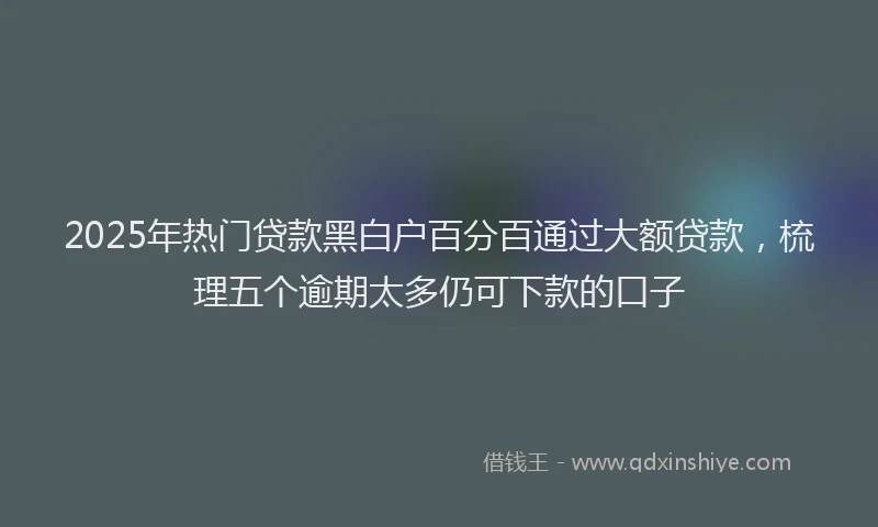 2025年热门贷款黑白户百分百通过大额贷款，梳理五个逾期太多仍可下款的口子