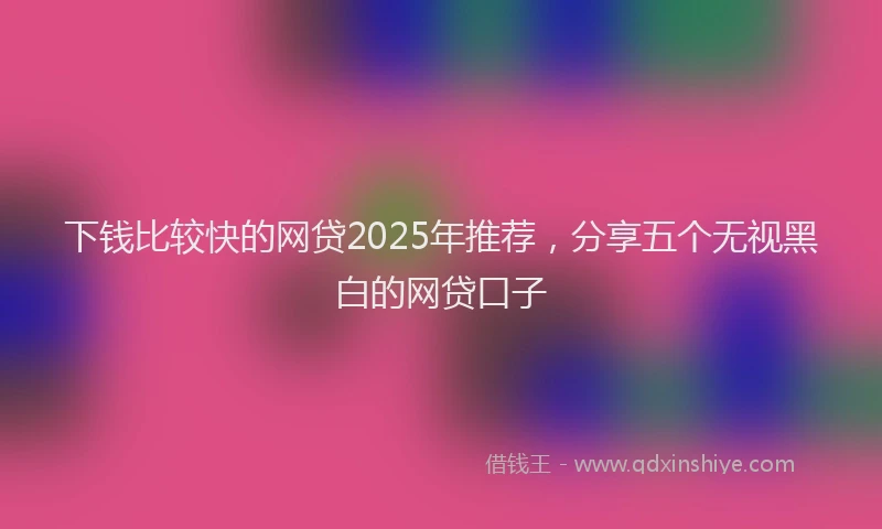 下钱比较快的网贷2025年推荐，分享五个无视黑白的网贷口子