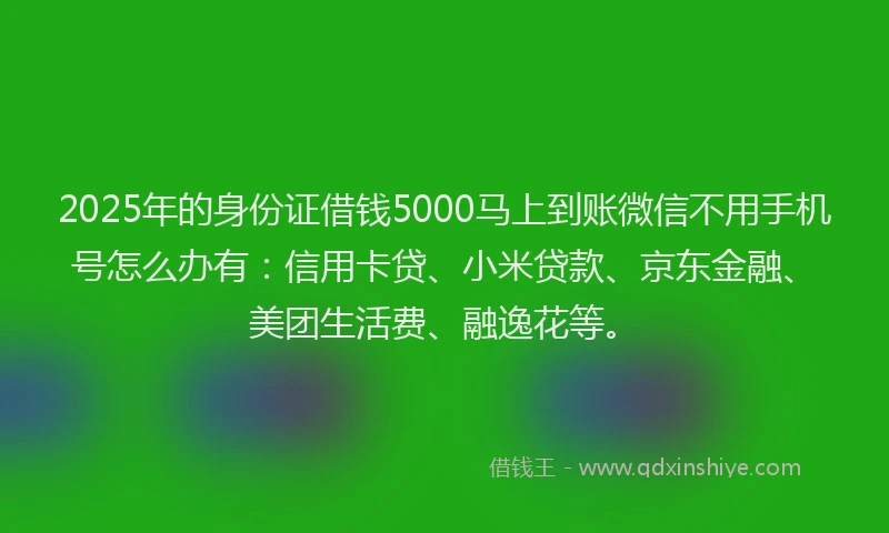 2025年的身份证借钱5000马上到账微信不用手机号怎么办有：信用卡贷、小米贷款、京东金融、美团生活费、融逸花等。