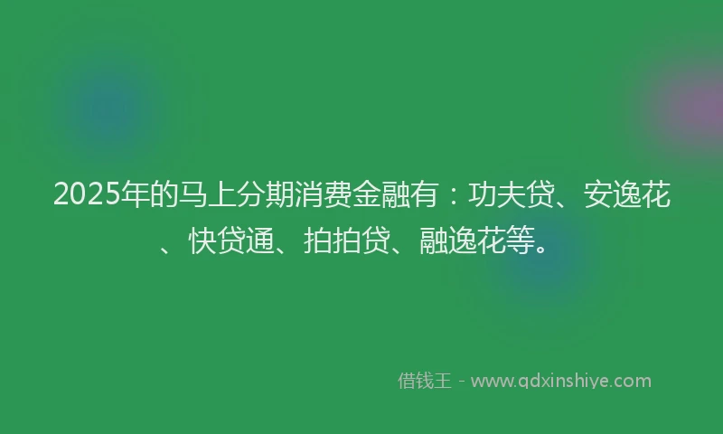 2025年的马上分期消费金融有：功夫贷、安逸花、快贷通、拍拍贷、融逸花等。