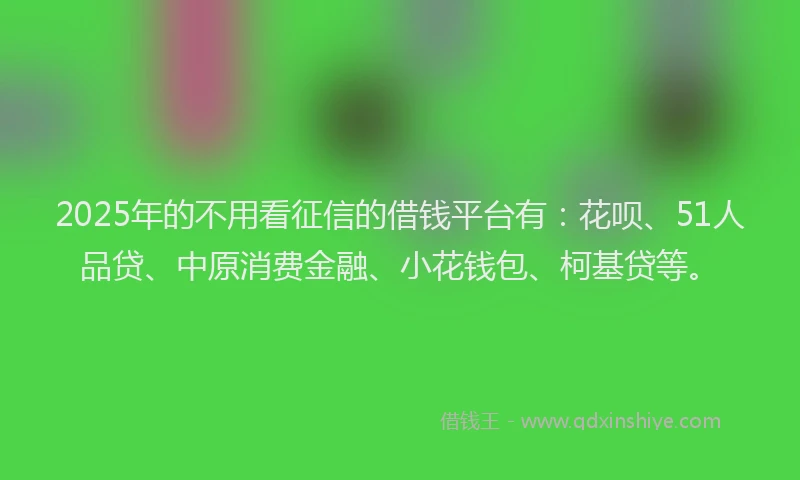 2025年的不用看征信的借钱平台有：花呗、51人品贷、中原消费金融、小花钱包、柯基贷等。