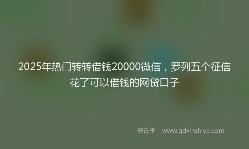 2025年热门转转借钱20000微信，罗列五个征信花了可以借钱的网贷口子