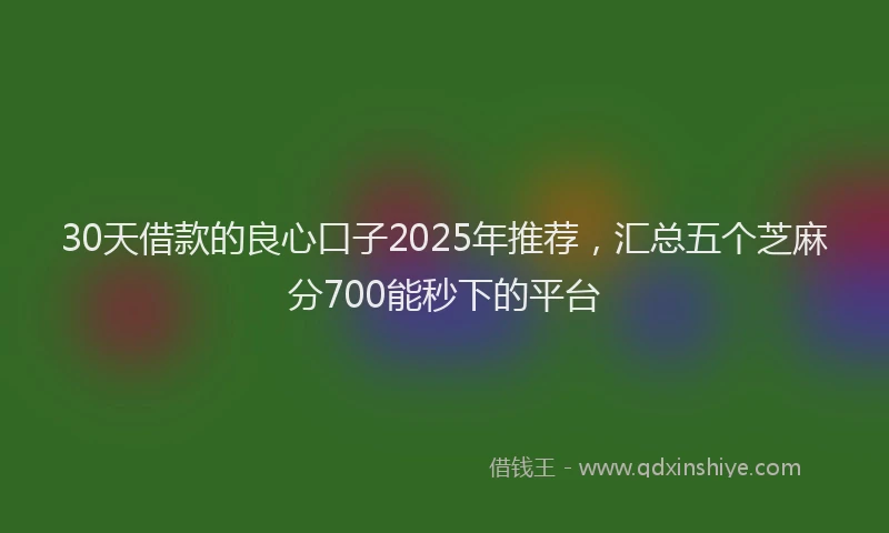 30天借款的良心口子2025年推荐，汇总五个芝麻分700能秒下的平台